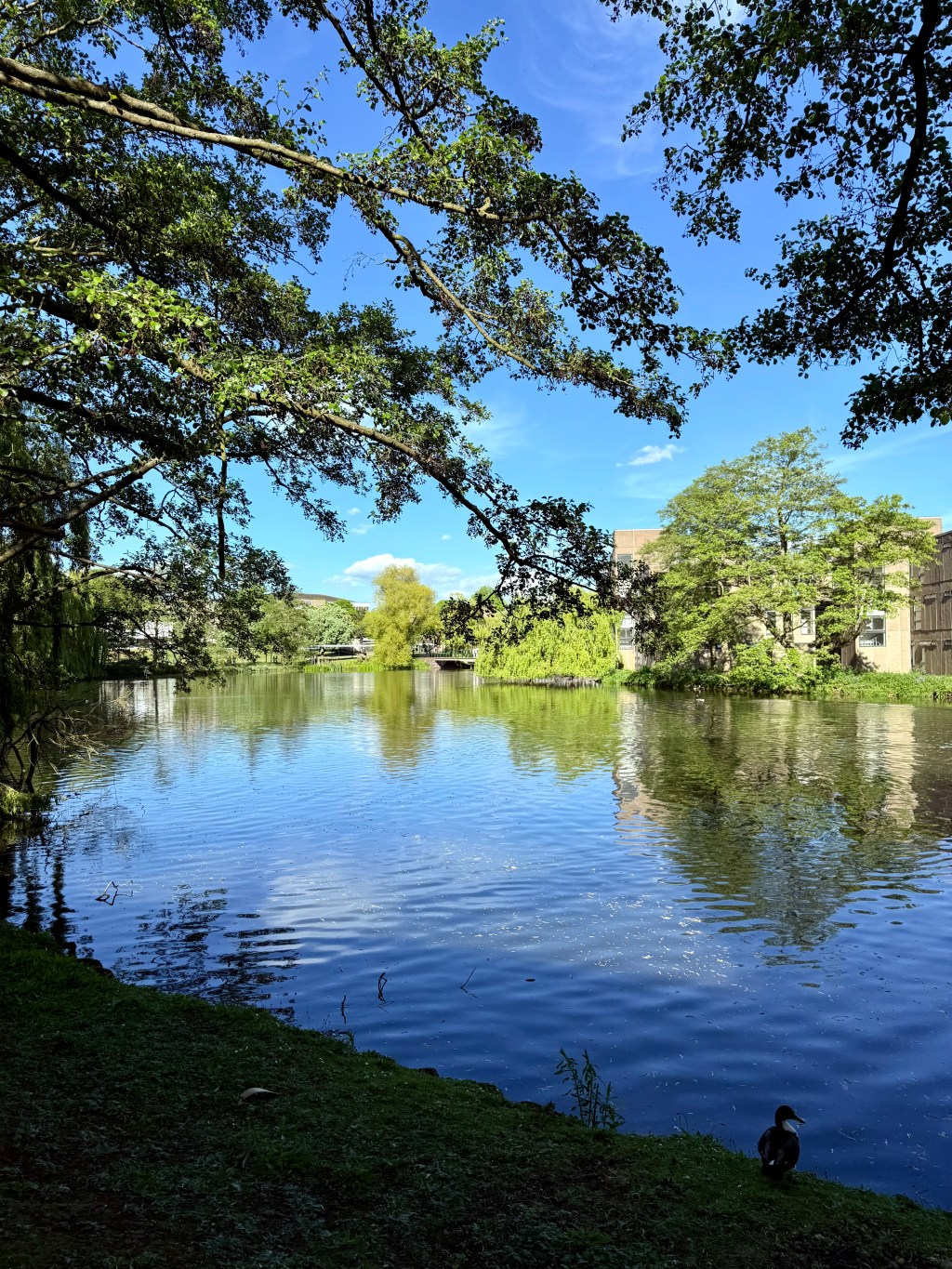 My PhD and GitHub&nbsp;Pages